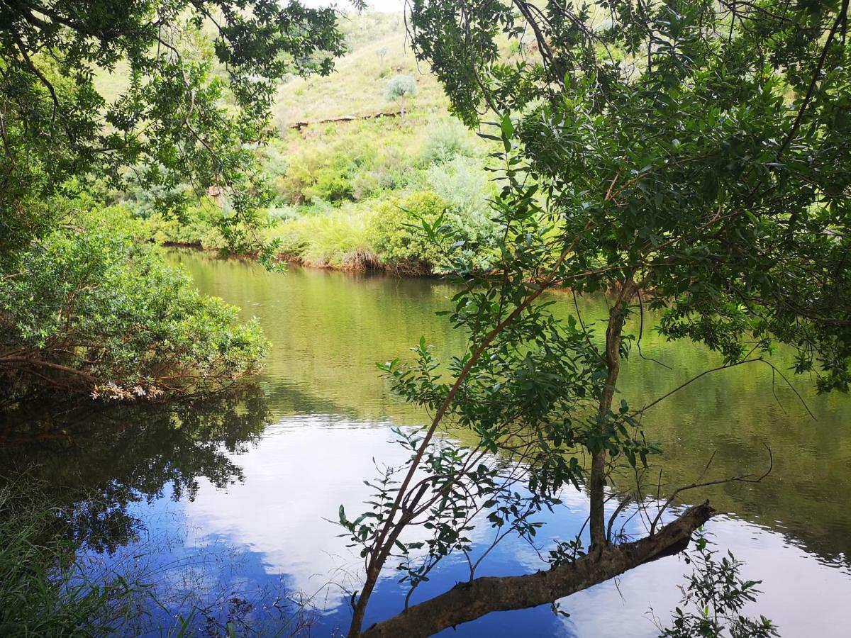 Treur River Lodge Moremela Dış mekan fotoğraf