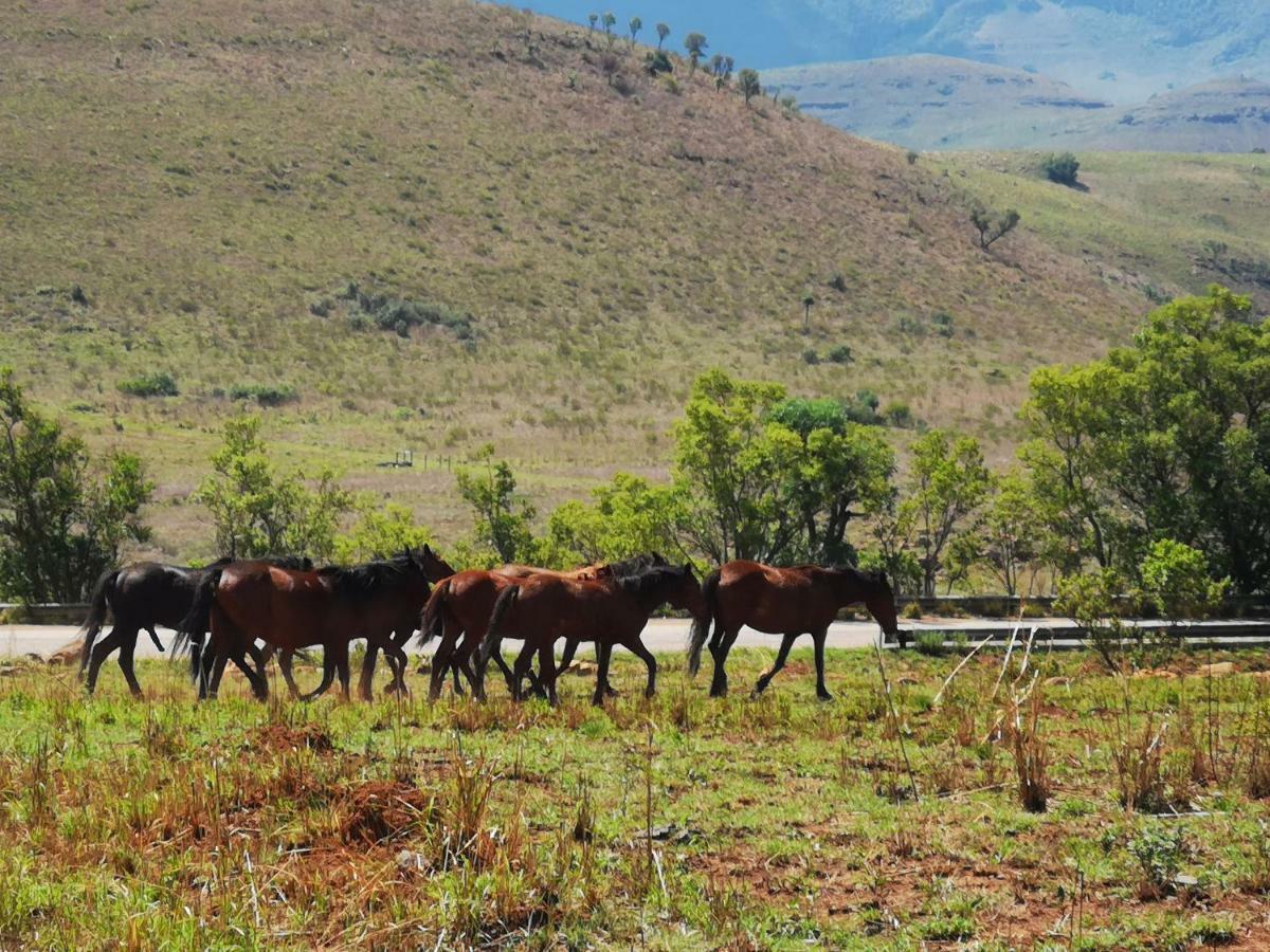 Treur River Lodge Moremela Dış mekan fotoğraf